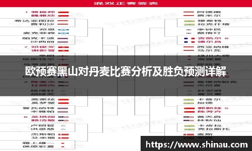 欧预赛黑山对丹麦比赛分析及胜负预测详解